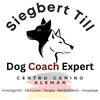 dogcoachacademy.org